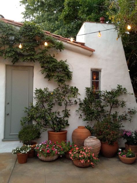 potted plants Have Inspiration, Mediterranean Garden, Plants And Flowers, Spanish Style, Dream Garden, Garden And Yard, Backyard Garden, Green Thumb, Garden Inspiration