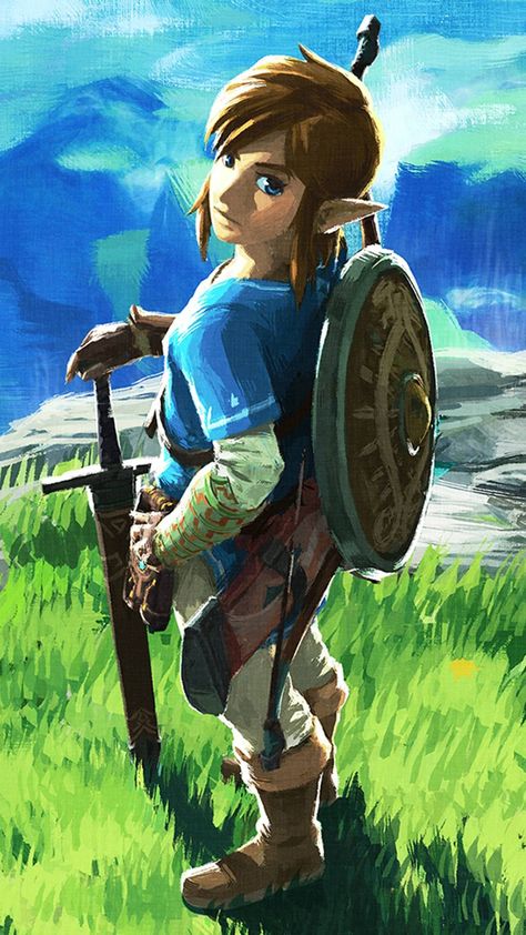 Link Botw, Hyrule Castle, Link Art, Hyrule Warriors, Zelda Breath Of The Wild, Link Zelda, Zelda Art, Ocarina Of Time, Legend Of Zelda Breath