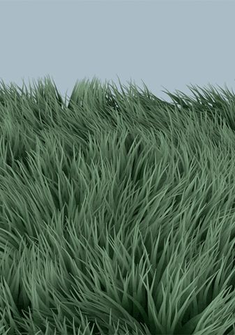 Learn Animation, People Screaming, Growing Grass, Trippy Designs, Grass Flower, Boxing Quotes, Field Of Dreams, Album Cover Design, 3d Artwork