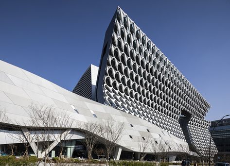 Thom Mayne Reflects on the Founding of Morphosis | ArchDaily Art Gallery Facade, Gallery Facade, Morphosis Architects, Architecture Facade, Hudson Yards, Architecture Awards, Workspace Design, Design Research, Urban Planning