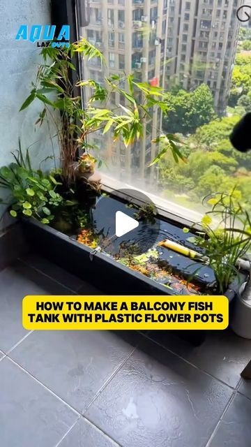 Aqua Layouts on Instagram: "make a fish tank from a plastic flower pot #fish #fishtanks #fishtank #viral #viralvideos #reels #foryou #aquarium #aquariumfish #aquascape" Plants In Aquarium, Indoor Fish Pond, Guppy Fish Tank, Koi Fish Aquarium, Pond Aquarium, Lucky Bamboo Fish Tank, Micro Ecological Fish Tank, Indoor Pond, What Else Can An Lg. Aquarium Be Used For