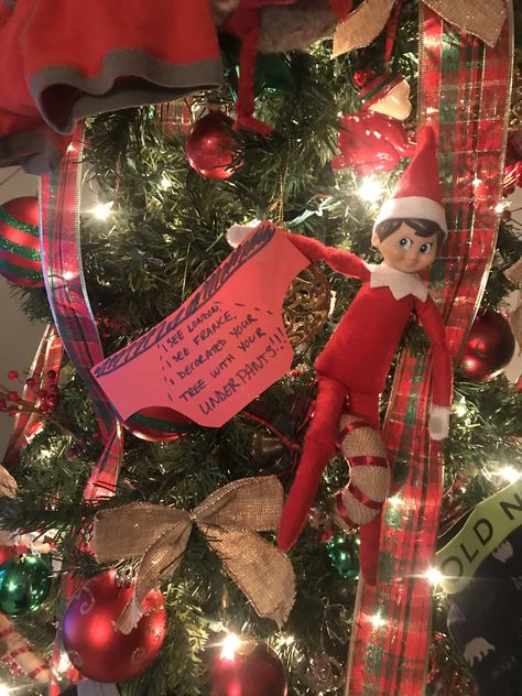 Underpants elf Elf On The Shelf Under Pants, Sparkle Pants, Christmas Tree Bag, Pants Ideas, Elf On Shelf, Eye Images, Elf Decorations, Jackson Walker, Awesome Elf On The Shelf Ideas