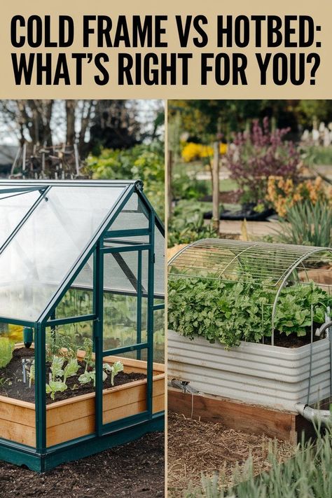 Cold Frames vs. Hotbeds: What’s Best for Your Garden? Cold Frame Plans, Cold Frames, Home Grown Vegetables, Plants To Grow, Best Plants, Cold Frame, Bountiful Harvest, Garden Structures, Head Start