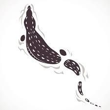 Swimming Crocodile Tattoo, Crocodile In Water Drawing, Fine Line Alligator Tattoo, Crocodile Drawing Simple, Crocodile Doodle, Crocodile Silhouette, Crocodile Graphic, Crocodile Images, Crocodile Drawing