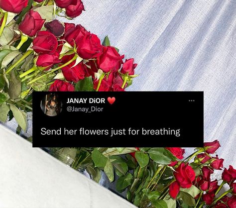 Send Me Flowers Quotes, Tweets About Getting Flowers, I Want Some Flowers Tweets, Buy Me Flowers Tweets, I Love Flowers Tweets, I Want Flowers Tweets, Buy Me Flowers Quotes, Flower Tweets, Fb Quotes