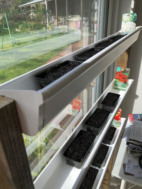 Building a planter box next to the window to grow seedlings. Made from roof guttering. Waterproof, so no mess off over watered, in fact on hot days, the gutter can have excess water added to prevent drying off. Hawaii Garden, Indoor Hydroponic Gardening, Garden Farming, Renovated Farmhouse, Toddler Proofing, Gutter Garden, Veggie Gardens, Small Vegetable Gardens, Window Plants