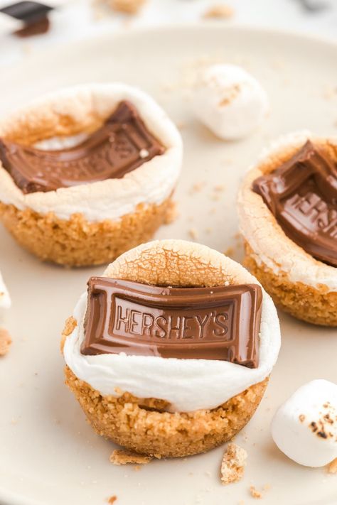 smores bites with Hershey’s chocolate on top Chocolate Cheesecake Bites Recipe, Smores Bites, Red Velvet Cake Balls, Chocolate Covered Cheesecake, Chocolate Cheesecake Bites, Creamy Chocolate Cheesecake, Pumpkin Spice Cheesecake, Cheesecake Bites Recipe, Lemon Cheesecake Bars