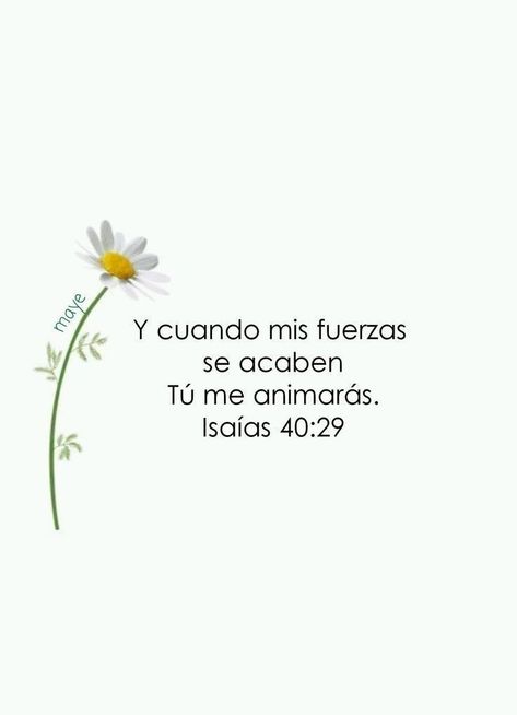 Words In Spanish, Hope Bible Verses, Gods Plan Quotes, I Love You God, Gods Love Quotes, Positive Phrases, Biblical Verses, Inspirational Phrases, Bible Verses Quotes Inspirational