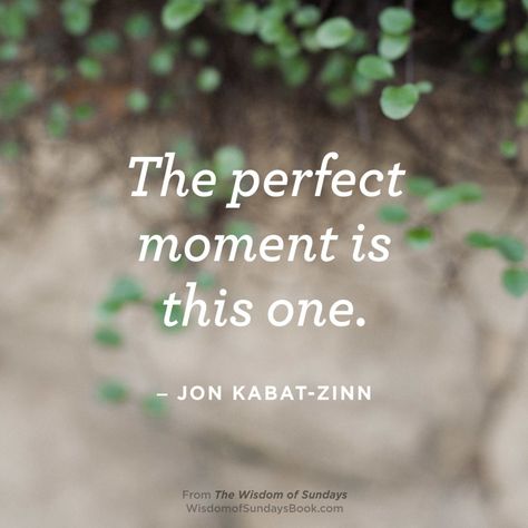 Jon Kabat Zinn Quotes, Buddhism Beliefs, Jon Kabat Zinn, Morning Pages, Choices Quotes, Comfort Quotes, Courage Quotes, Be Here Now, Awakening Quotes