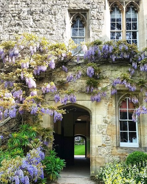 Annie Hongping Nie on Instagram: “@oxford_uni @oxford_uk @oxfordlens #oxford #university #uk #gallery_of_all #best_streetview #tv_travel #bestoftheday #best_photogram…” Oxford House, Oxford Uk, Oxford University, Architecture Project, Mood Board, Oxford, University, Cottage, Writing