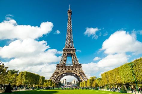 Cruise Activities, Seine River Cruise, Paris Sightseeing, Dumbo The Flying Elephant, Gustave Eiffel, Paris Tours, Amazing Paintings, Disneyland Park, Paris Eiffel Tower