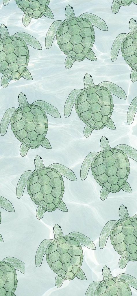 Tattoo Sea Turtle, Wallpaper Abstract Pattern, Aesthetic Turtle, Turtle Aesthetic, Turtle Eating, Sea Turtle Images, Turtle Eggs, Sea Turtle Wallpaper, Turtle Pictures