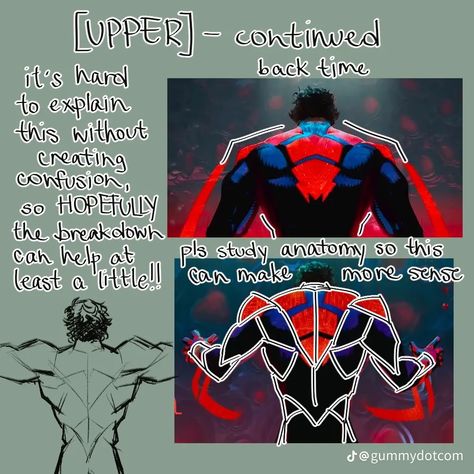 Spiderman Poses, Miguel Ohara, Spaider Man, Rennaissance Art, Drawing Guide, Marvel Spiderman Art, Art Tools Drawing, Figure Drawing Reference, Anatomy Reference