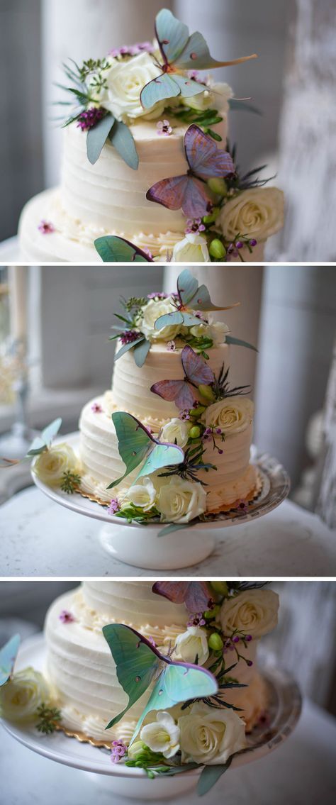 A stunning wedding cake featuring luna moths and pearl morpho butterflies! So beautiful for any spring weddings, and the moths are cruelty free and made of lasercut paper! See more on our site Moth Cake Ideas, Luna Moth Wedding, Joyful Pictures, Masquerade Quinceanera Ideas, Moth Wedding, Wedding Cake Theme, Decorative Desserts, Butterfly Wedding Cake, Butterfly Wedding Theme