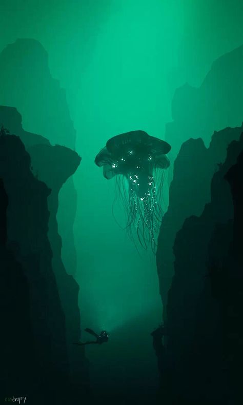 42 photos de fonds marins qui vont vous faire cauchemarder Water Concept, Deep Sea Life, Aquatic Creatures, Concept Album, Underwater Art, Underwater Animals, Ocean Floor, Underwater Photos, Deep Ocean