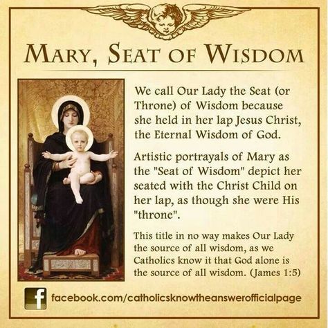 Mary, Seat of Wisdom, Pray for Us. Catholic Theology, Catholic Answers, Catholic Doctrine, Doers Of The Word, Catholic Beliefs, Mama Mary, Catholic Images, Blessed Mother Mary, Religious Education