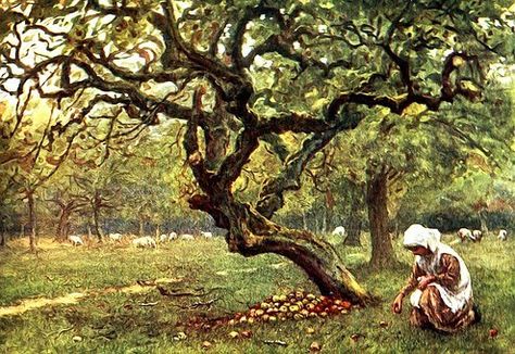 Vintage, Old Fashioned, Victorian Victorian Watercolor, Old Apple Tree, Farmhouse Animals, Picking Apples, Apple Painting, Watercolor Girl, Apple Trees, Happy Pictures, Old Trees