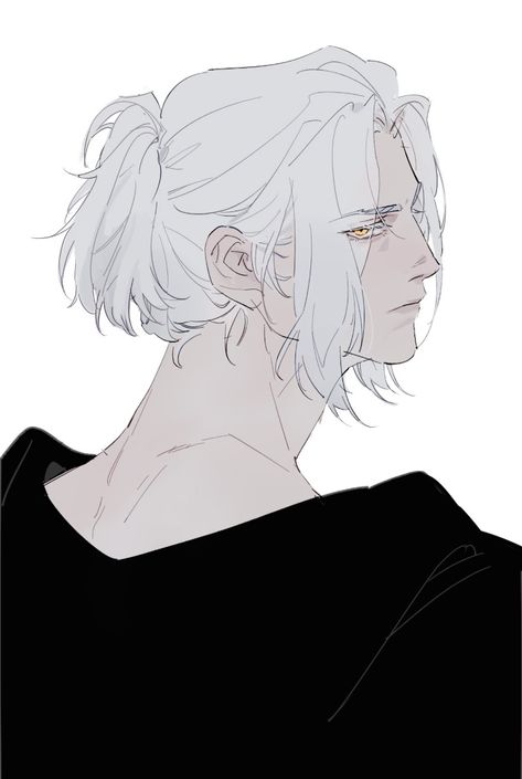 White Hair Men, Short White Hair, Long White Hair, Character Design Male, How To Draw Hair, Male Art, Boy Art, Drawing Poses, Handsome Anime Guys