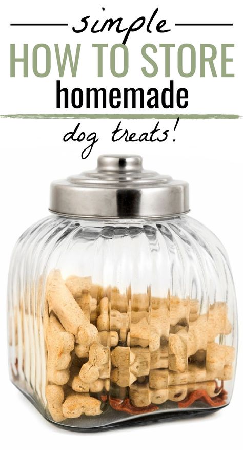 Your dog loves treats, and it’s not just the cookies and the bacon, but you’re not sure how to store homemade dog treats. Depending on the treats, you can store in an air-tight container or the refrigerator. Mason Jar Dog Treat Recipe, Non Refrigerated Dog Treats, Homemade Dog Treats With Long Shelf Life, Dog Treats That Last A Long Time, Dog Treats That Dont Need Refrigeration, Shelf Stable Dog Treat Recipe, Shelf Stable Dog Treats, Dog Bakery Ideas, Long Lasting Dog Treats Homemade