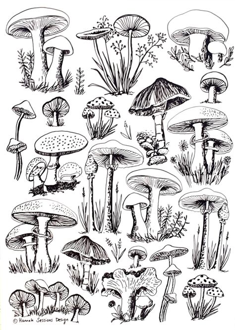 Mushroom Drawings, Forest Drawing, Mushroom Tattoos, Mushroom Drawing, Seni 2d, Mushroom Design, Plant Drawing, Arte Sketchbook, Mushroom Art