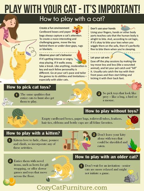 Play with your cat : Learn Why, How and When to play with the kitty Cat Psychology, Cat Knowledge, Playing With Cat, Creme Puff, Cat Advice, Cat Tips, Cats Playing, Cat Book, Diy Cat Toys