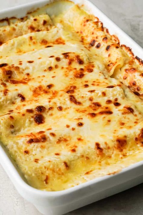 Stuffed Cannelloni Pasta White Sauce, Cannelloni Pasta Bake, Cannelloni Recipes Vegetarian, Cannoli Bolognese, Cheese Cannelloni Recipes, Stuffed Shells With Bechamel Sauce, Shrimp Cannelloni Recipes, Bechamel Pasta Recipes, Recipes With Bechamel Sauce