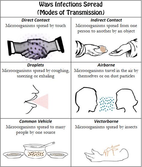 Infection Prevention Posters, Infection Control Nursing Poster, Teaching Esthetics, Immune System Nursing, Infection Preventionist, Chain Of Infection, Raas System Nursing Mnemonics, Fundamentals Of Nursing Communication, Esthetician Student