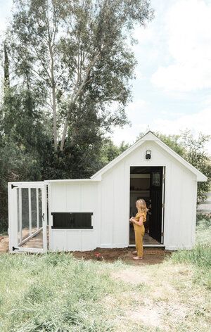 Chicken Coop With Lean To, Board And Batten Siding Chicken Coop, Garden Shed With Chicken Coop, Osb Chicken Coop, Chicken Coop Off Shed, How To Build A Chicken Coop Roof, Chicken Coop On Side Of Shed, Chicken Coop Attached To Shed, Chicken Coop Shed Combo