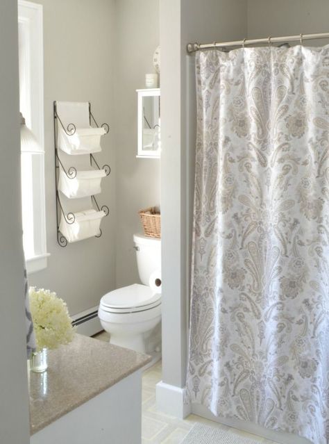 Stone Isle Sherwin Williams Stone Isle, Stone Isle Sherwin Williams, Grey Bathroom Paint, Sophisticated Bathroom, Bathroom Paint, Neutral Paint Color, Bathroom Paint Colors, Favorite Paint Colors, Taupe Grey