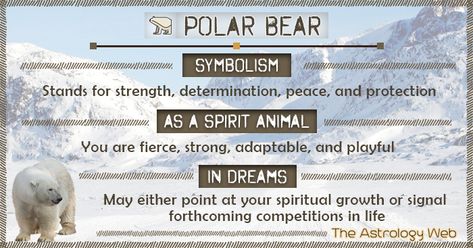 Polar Bear Symbolism Spirit Animal Dream Polar Bear Spirit Animal, Polar Bear Spirit Animal Meaning, Bear Symbolism, Spirit Animal Bear, Bear Meaning, Animal Totem Spirit Guides, Bear Spirit Animal, Bear Spirit, Animal Signs