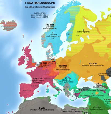 Genetic map of Europe with DNA Haplogroups [743 × 764] Genealogy Map, Map Of Europe, Dna Testing, Dna Genealogy, Photography Product, Genealogy Research, Family Genealogy, Europe Map, Charles Darwin