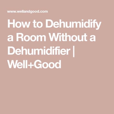 How to Dehumidify a Room Without a Dehumidifier | Well+Good Diy Dehumidifier Homemade, Homemade Dehumidifier, Dehumidifier Diy, Natural Dehumidifier, Dehumidifier Basement, Inside Doors, Mold Growth, Peeling Paint, Well And Good