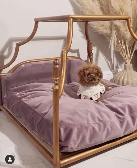 Fancy Cat Bed, Fancy Pet Beds, Dog Canopy Bed, Fancy Dog Beds, Princess Dog Bed, Luxury Dog Bed, Luxury Pet Beds, Cute Dog Beds, Puppy Room