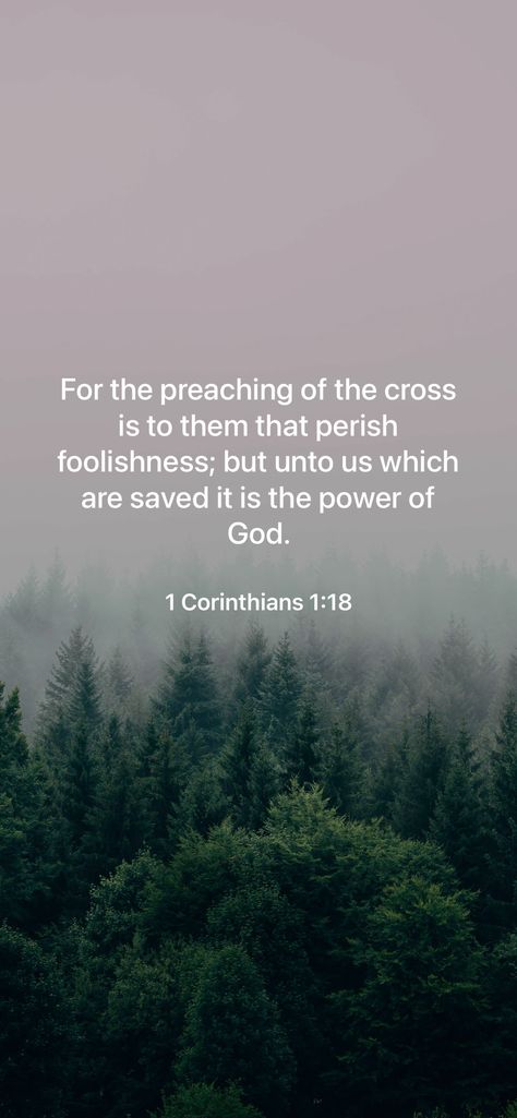 Check out the verse of the hour from Bible Verse Every Hour! Season Of Waiting Bible Verse, Bible Verse About Your Path, Bible Verse About Creation, Cross With Bible Verse, Bible Verse With Nature Background, Look At The Birds Bible Verse, God Creation, Creation Bible, College Inspiration