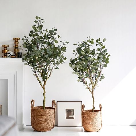 A decorative corner Indoor Tree Plants, Topiary Tree, Indoor Tree, Artificial Eucalyptus, Artificial Foliage, Topiary Trees, Ideas Hogar, Decor Buy, Hotel Decor