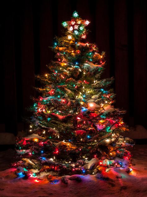 Snow Covered Christmas Trees, Christmas Tree With Lights, Tree With Lights, Snow Effect, Colored Lights, Beautiful Christmas Trees, Christmas Scenes, Noel Christmas, Christmas Mood