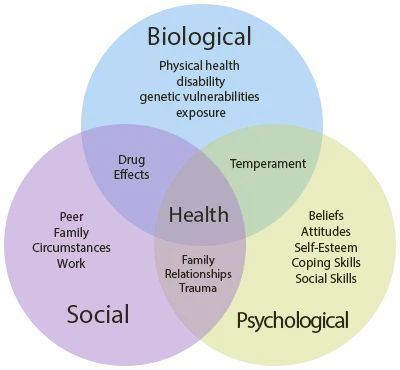 biopsychosocial - Ecosia Biopsychosocial Model, Biopsychosocial Assessment, Manual Therapy, Coconut Health Benefits, Work Relationships, Muscle Anatomy, Work Family, Health Check, Wellness Coach