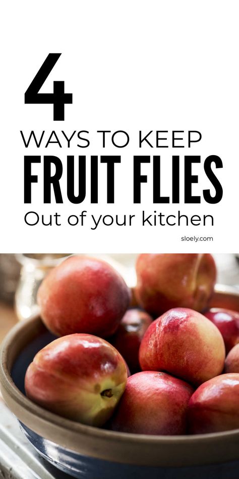 4 ways to keep fruit flies out of your kitchen with these natural pest control hacks that will let you ditch toxic pest control sprays. #pestcontrol #pestcontroltips #fruitflies #getridofflies Catch Fruit Flies, Fly Deterrent, Fruit Flies In House, Get Stickers Off, How To Store Bananas, Storing Fruit, Kitchen Plants, Banana Fruit, Fruit Flies