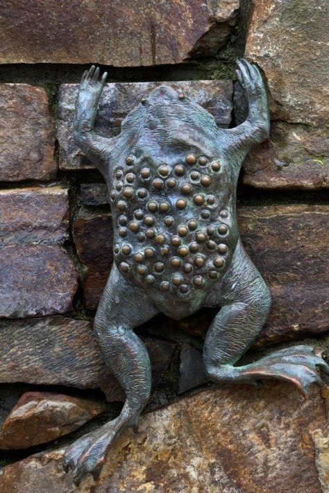 Trypophobia Pictures Weird, Trypophobia Pictures, Tryphobia Pictures, Frog Monster, Badass Pictures, Interesting Creatures, Animal Caricature, Strange Creatures, Gift Crafts