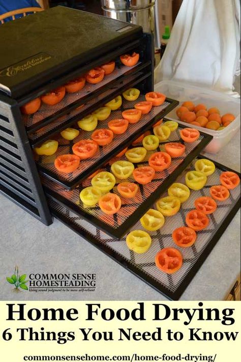 Home Food Drying – 6 Things You Need to Know to Dehydrate Food at Home Dehydrator Recipes Fruit, Food Drying, Fruit Drying, Dehydrating Food Storage, Food Dehydration, Food Dehydrators, Dehydrated Vegetables, Canning Food Preservation, Long Term Food Storage