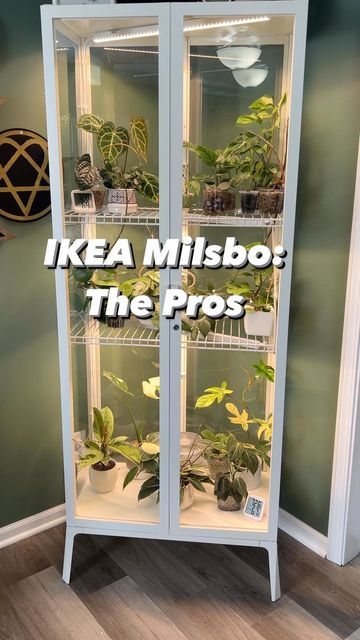 Nicole-Housplant Enthusiast on Instagram: "If you didn’t know, Ikea sells metal display cabinets that with just a few alterations, makes a wonderful greenhouse for your plants. The Milsbo comes in white and black and in a tall or wide version. Your plants will grow like crazy: My cabinet stays between 65-80% humidity, (without a humidifier) perfect for tropicals. Plants I once struggled with have taken off in the cabinet. Everything is growing and happy and healthy. It’s super customizable: Ikea Glass Cabinet, Grow Cabinet, Ikea Plants, Plant In Glass, Indoor Greenhouse, Succulent Garden Diy, White Plants, Metal Display, Diy Greenhouse