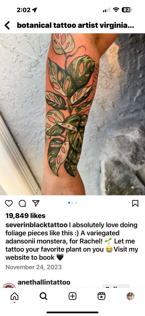 Variegated Monstera Tattoo, Monstera Tattoo Sleeve, Pothos Tattoo, Monstera Tattoo, Plant Tattoo, Botanical Tattoo, Variegated Plants, Tattoo Inspo, Tattoo You