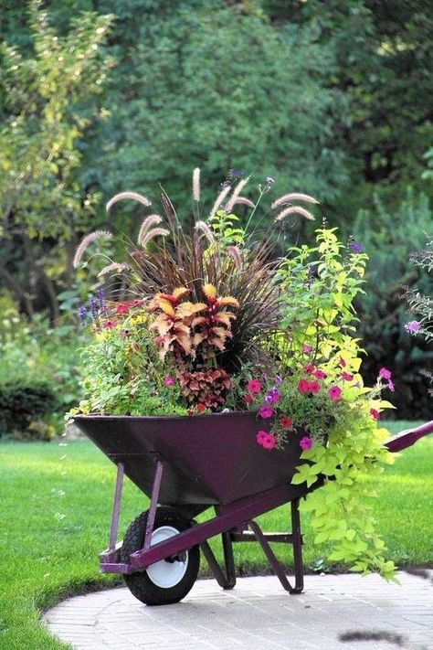 30 Container Gardening Ideas For Stunning Displays Potting Ideas, Container Gardening Ideas, Wheelbarrow Planter, Concrete Containers, Old Bucket, Garden Entrance, Container Gardens, Outdoor Inspirations, Flowering Vines