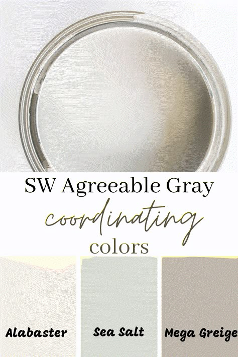 Sherwin Williams Agreeable Gray, Mega Greige, Agreeable Gray Sherwin Williams, Greige Paint Colors, Greige Paint, Agreeable Gray, Farmhouse Paint Colors, Farmhouse Paint, Pintura Exterior