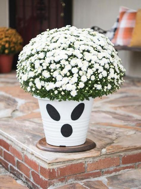 Creative Family-Friendly Halloween Ideas, Themed Yard Decorations Halloween Planters, Halloween Mums, Mum Planters, Pumpkins Crafts, Craft Halloween, Man Eating, Easy Diy Halloween Decorations, Kid Friendly Halloween, Plastic Pumpkins