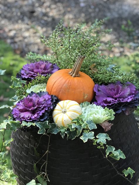 Urn planted with ornamental kale and ivy, with fall pumpkins Fall Potted Plants, Fall Flower Pots, Fall Container Plants, Spring Patio, Fall Pots, Fall Landscaping, Fall Patio, Fall Container Gardens, Ornamental Cabbage