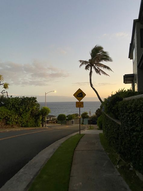 sunset in hawaii with a view of the water and a palm tree Sunrise Shack Hawaii, Summer Aesthetic Hawaii, Hawaii Vibes Aesthetic, Honolulu Aesthetic, Hawaii Life Aesthetic, Living In Hawaii Aesthetic, Oahu Aesthetic, Oahu Hawaii Aesthetic, Tourist Aesthetic