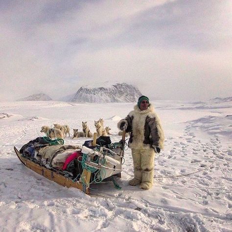 Eskimo Inuit Aesthetic, Greenland Landscape, Polar Expedition, Greenland Travel, Inuit People, Sled Dogs, Snow Ice, A Child Is Born, Winter Camping