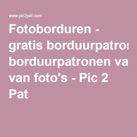 Fotoborduren - gratis borduurpatronen van foto's - Pic 2 Pat Embroidery, Van, Crochet