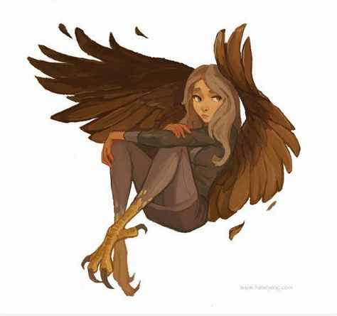 Bird People, Hybrid Art, Bird Girl, Humanoid Creatures, Wow Art, Human Art, Creature Design, A Drawing, Creature Art